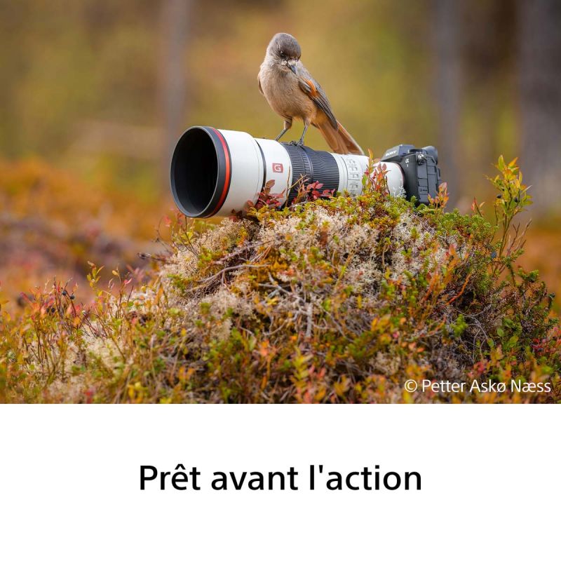 Sony FE 600mm F6.3 GM OSS – Super-téléobjectif G Master