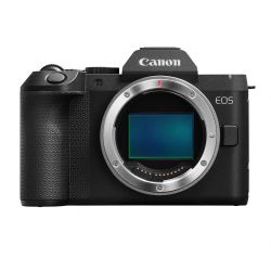Canon EOS R8 Mark II + RF 24-240mm F4-6.3 IS USM