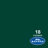 Savage Evergreen Fond Papier 2,72 x 11 m