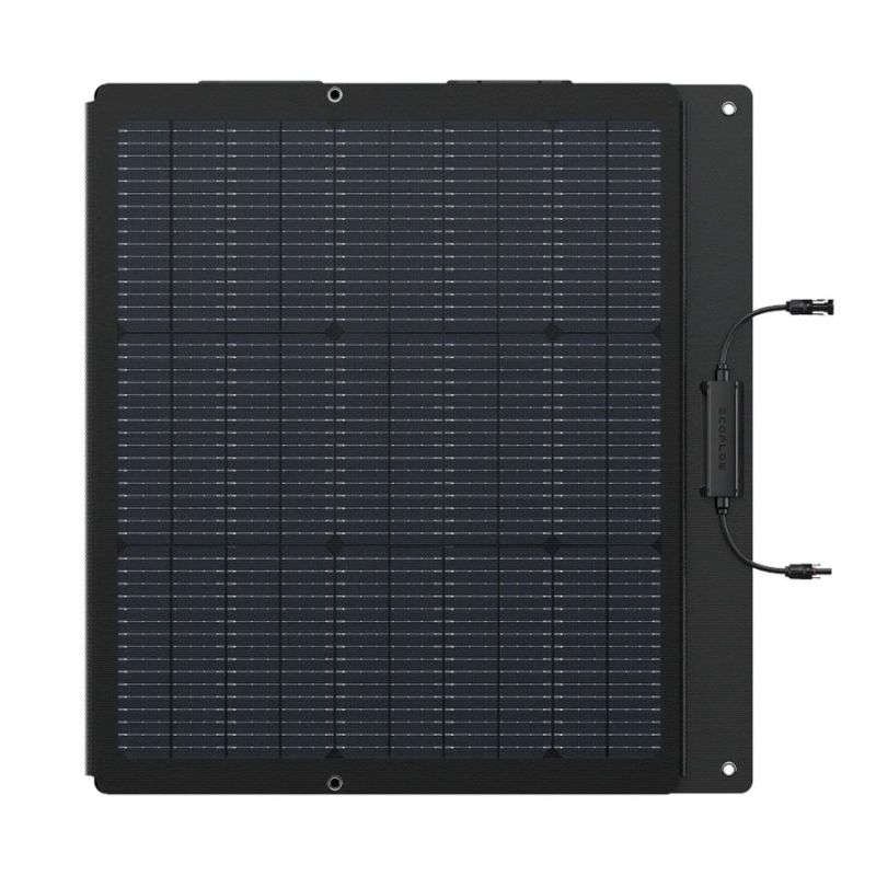 EcoFlow Panneau Solaire Portable Léger 160 W Bifacial