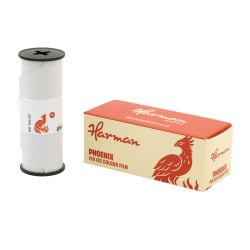 HARMAN Phoenix I ISO 125 Film Couleur 120