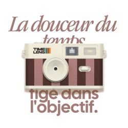 TimeLens Cream Rosewood Appareil Photo Vintage Sans Écran