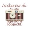 TimeLens Cream Rosewood Appareil Photo Vintage Sans Écran