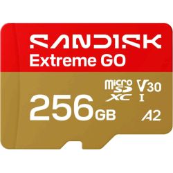 SanDisk Extreme GO microSD 256 Go UHS-I V30