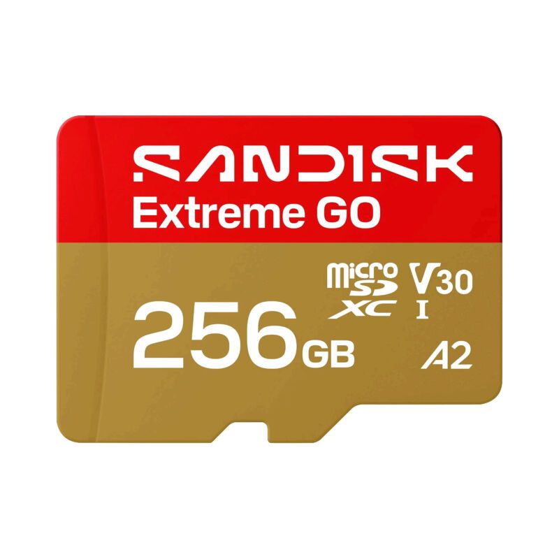 SanDisk Extreme GO microSD 256 Go UHS-I V30