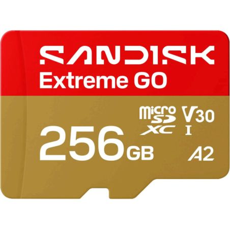 SanDisk Extreme GO microSD 256 Go UHS-I V30