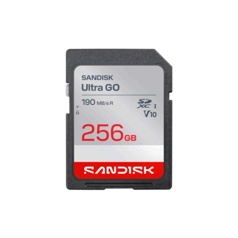 SanDisk Ultra GO SD 256 Go UHS-I V10