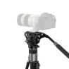 SMALLRIG 6286 POTATO TRIBEX MONOPODE VIDEO