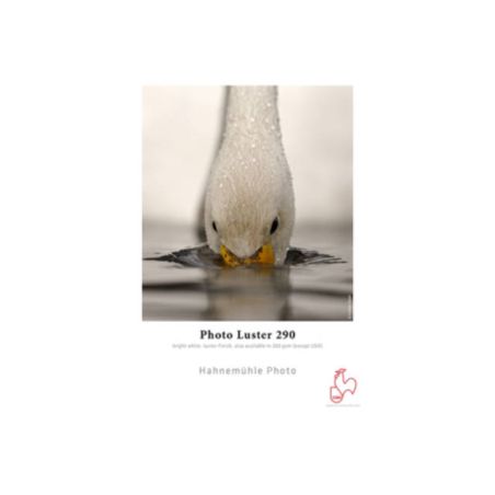 Hahnemühle Photo Luster 260g A4 25F