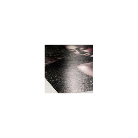 Hahnemühle Photo Rag Metallic 340g A4 25F