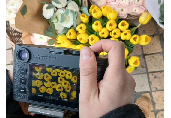 Bases de la photographie : manipulez votre appareil photo sans accroc